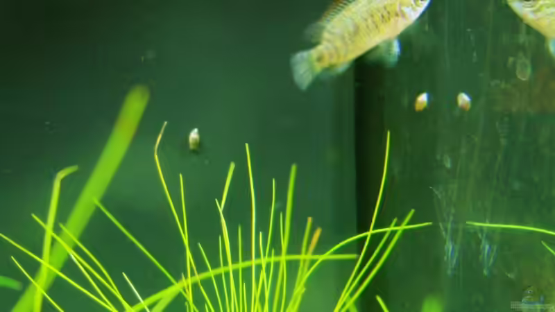 Userbild von aetti von aetti (15)