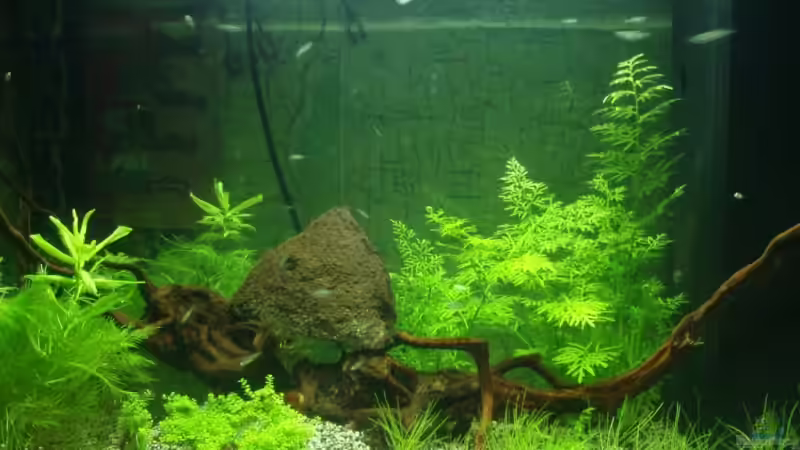 Userbild von aetti von aetti (7)