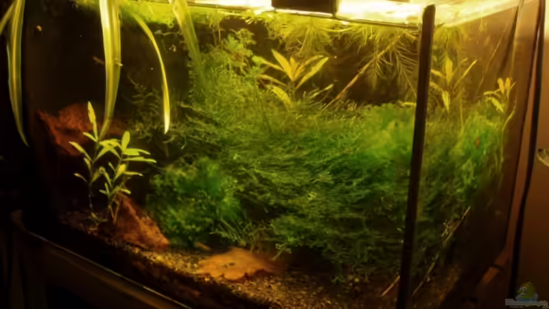 Userbild von aetti von aetti (9)