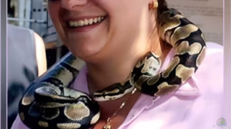 Userbild von Alex Dihu von Alex Dihu (20)