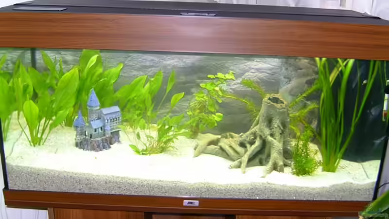 Userbild von Alex Resch von Alex Resch (3)