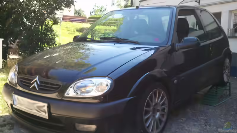 Userbild von Alex S von Alex S (38)