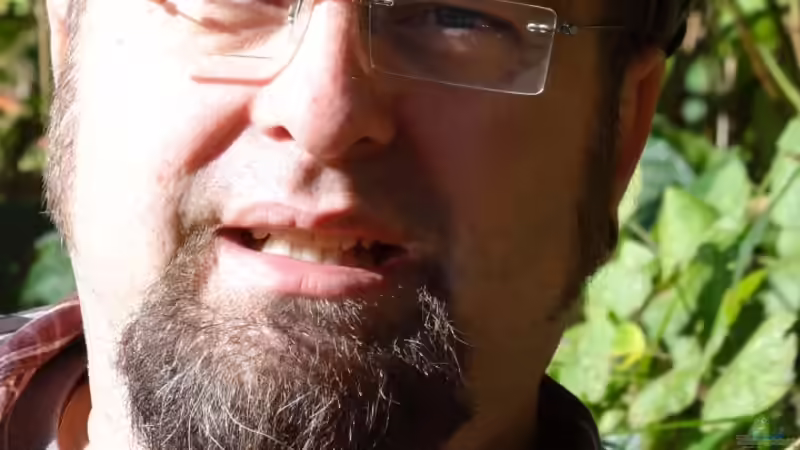 Userbild von Alex Wulf von Alex Wulf (13)