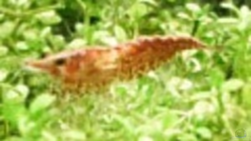 Userbild von ALex0008 von ALex0008 (2)