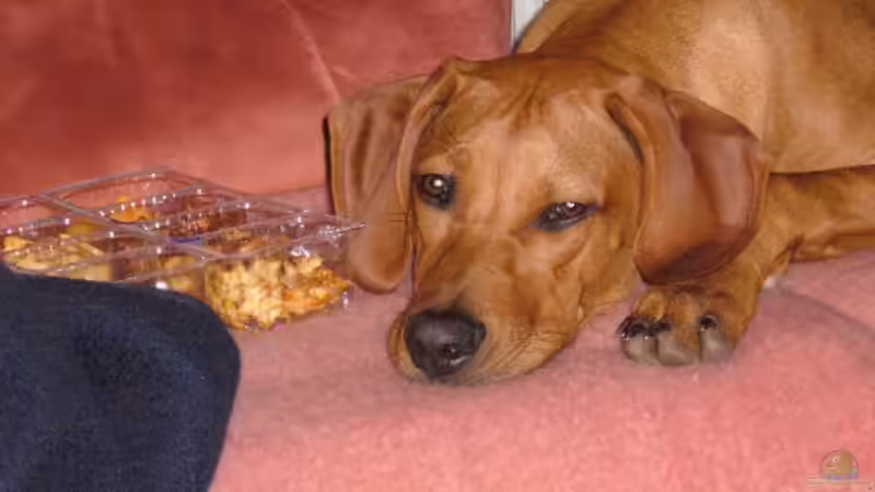 Userbild von Alexander Albrecht von Alexander Albrecht (14)