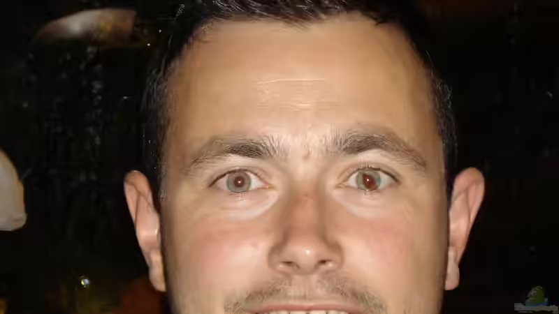 Userbild von Alexander Beutner von Alexander Beutner (35)