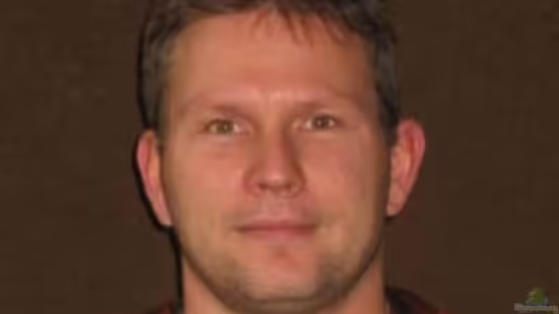 Userbild von Alexander Grimmer von Alexander Grimmer (22)