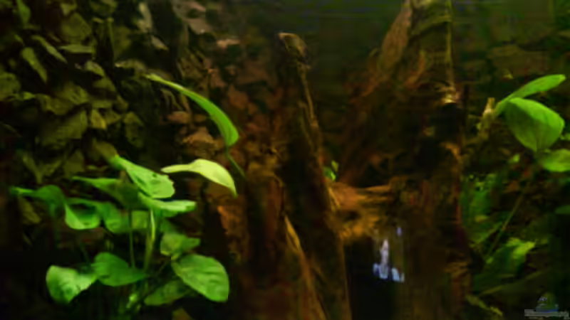 Userbild von Alexander Stein von Alexander Stein (20)