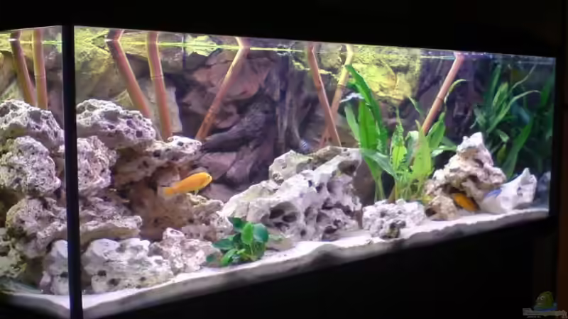 Userbild von Alihsan Boeklers von Alihsan Boeklers (20)