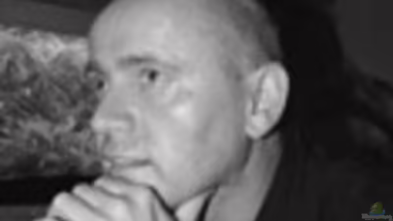 Userbild von @mazonas von @mazonas (22)