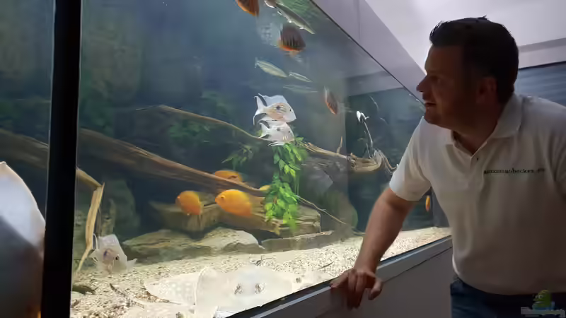 Userbild von Amazonasbecken.eu von Amazonasbecken.eu (19)