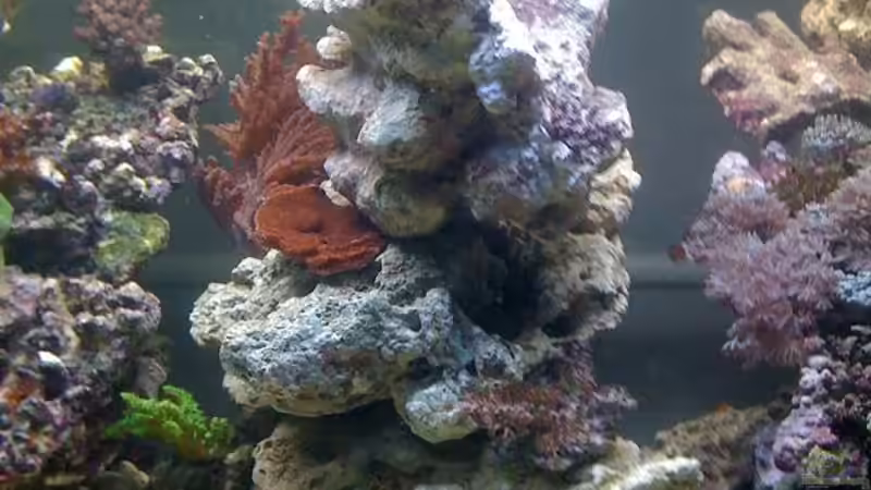 Userbild von andi76 von andi76 (3)