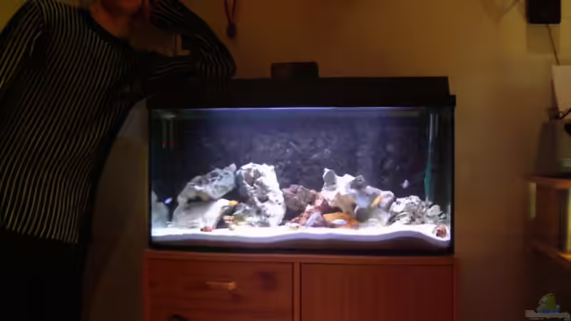 Userbild von André Hermanns von André Hermanns (7)