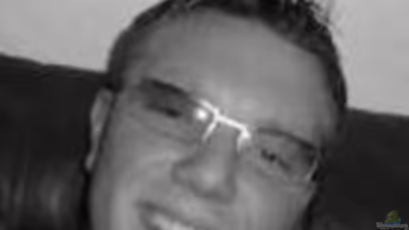 Userbild von Andre Spieler von Andre Spieler (27)