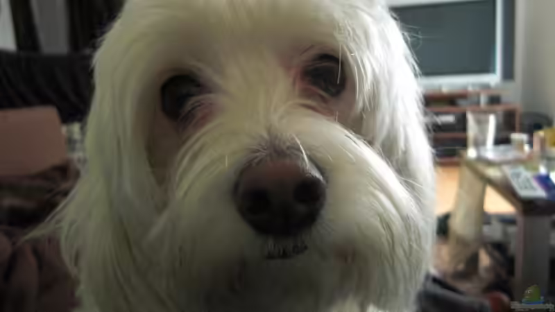 Userbild von Andre Walz von Andre Walz (31)