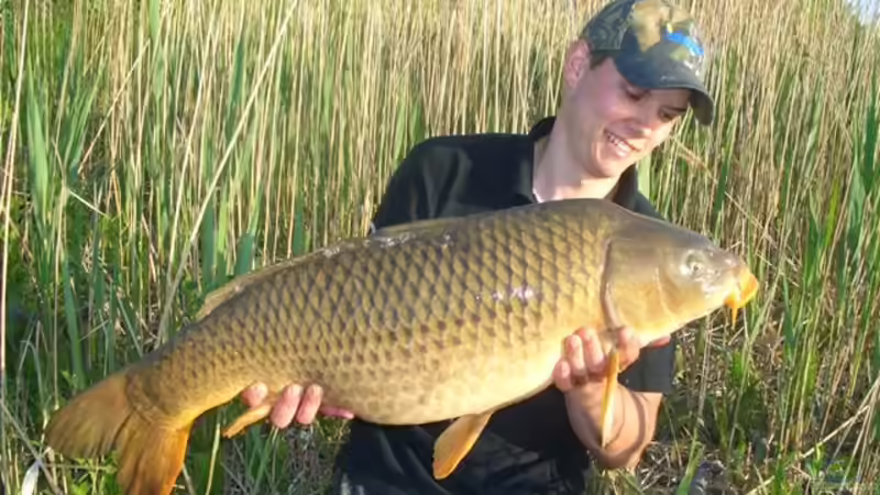 Userbild von Andreas Fuchs von Andreas Fuchs (29)