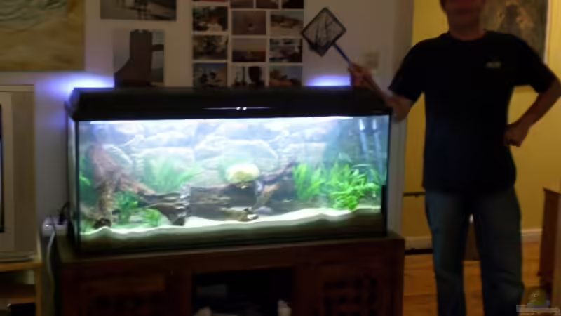 Userbild von Andreas Haase von Andreas Haase (16)