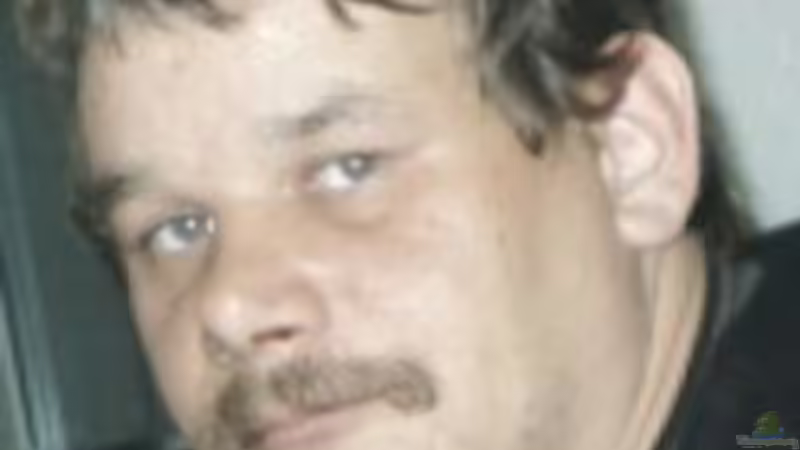 Userbild von Andreas Kraft von Andreas Kraft (2)