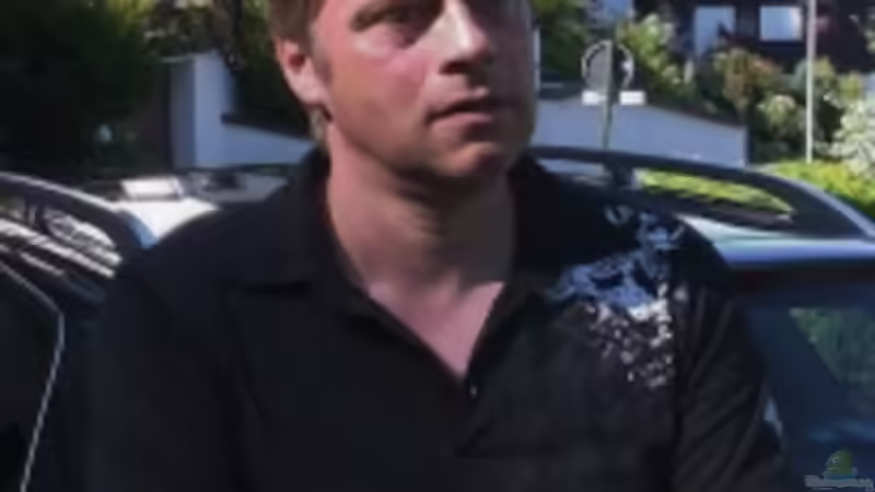 Userbild von Andreas Zollmann von Andreas Zollmann (18)