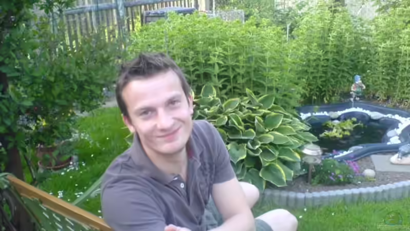 Userbild von Andy_daHousecat von Andy_daHousecat (43)