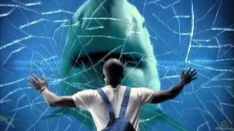 Userbild von *Andy* von *Andy* (17)