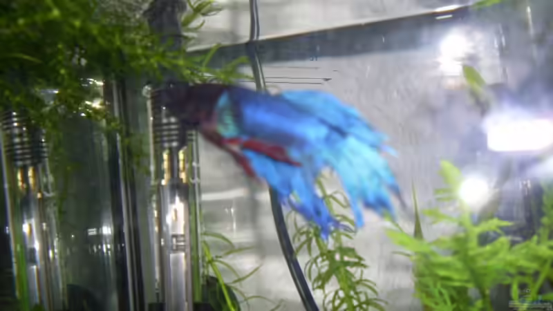 Userbild von AQ Nano von AQ Nano (24)