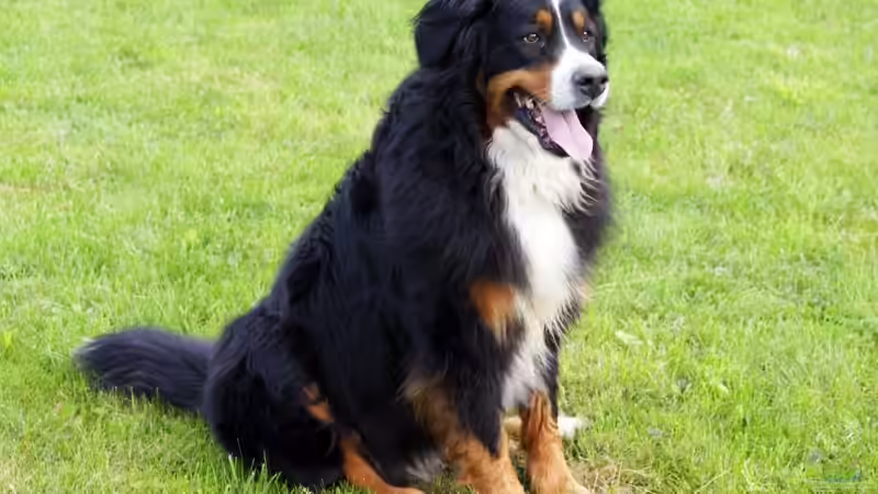 Userbild von aquaman29 von aquaman29 (18)