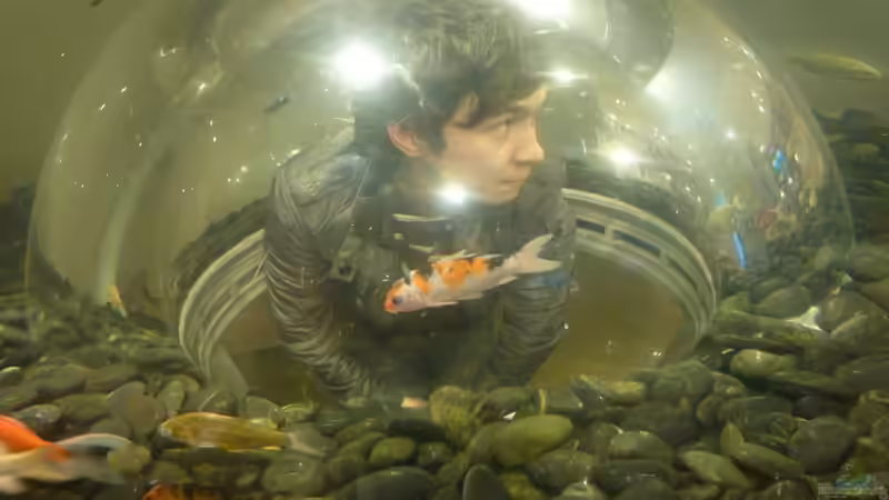 Userbild von Arami Gurami von Arami Gurami (33)