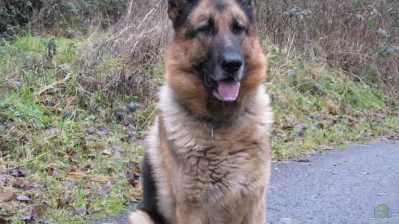 Userbild von Armin Lange von Armin Lange (28)