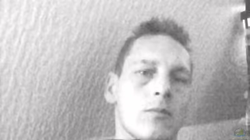 Userbild von Arnortorn von Arnortorn (2)