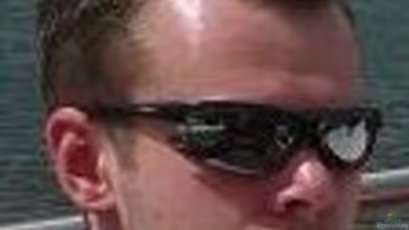 Userbild von Austauscher von Austauscher (12)