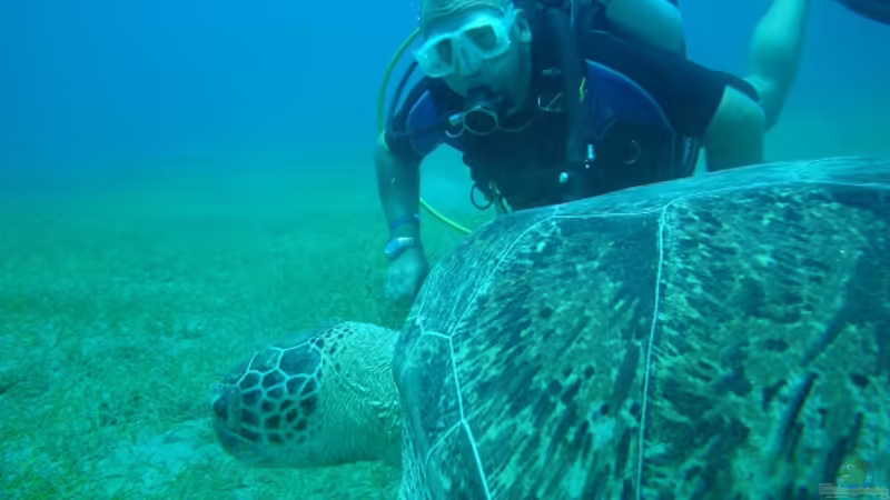 Userbild von BAD666 von BAD666 (24)