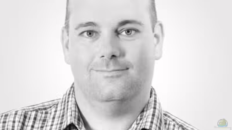 Userbild von Baeltes von Baeltes (39)