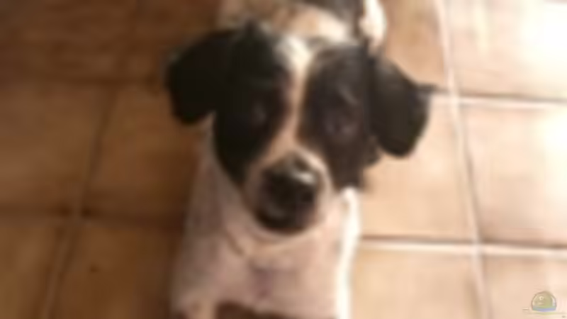 Userbild von Barabas von Barabas (16)