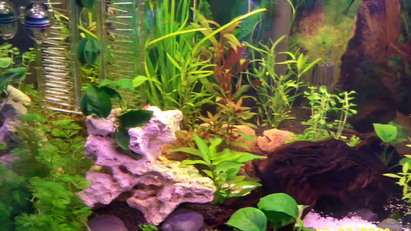 Userbild von basshammer von basshammer (5)