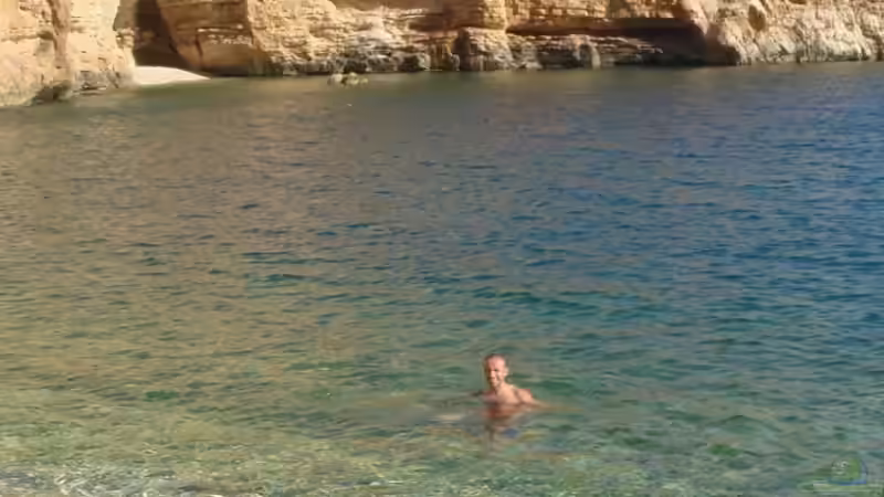 Userbild von Baysal von Baysal (14)