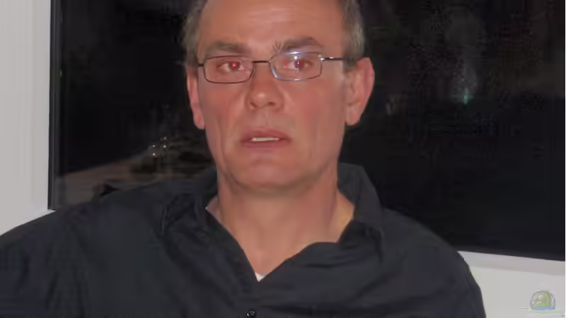 Userbild von Bazzi von Bazzi (53)