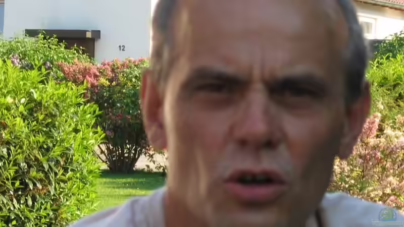 Userbild von Bazzi von Bazzi (73)