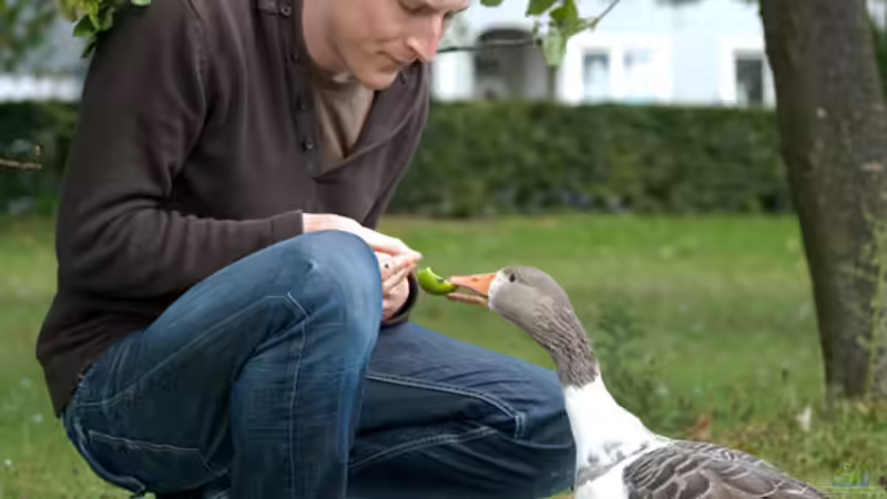 Userbild von Benjamin Hamann von Benjamin Hamann (25)