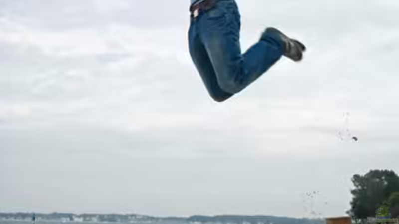 Userbild von Benjamin Hamann von Benjamin Hamann (35)