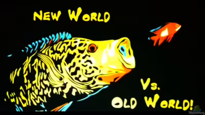 Userbild von Benjamin Hamann von Benjamin Hamann (52)