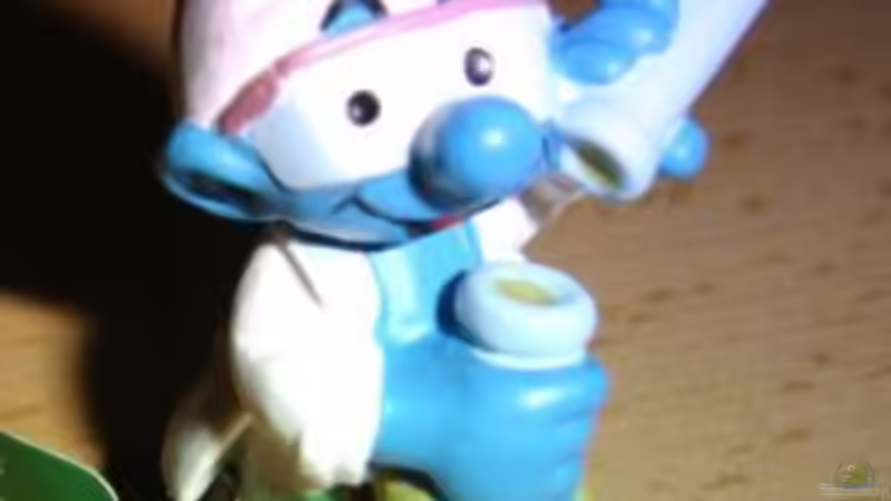 Userbild von Benji von Benji (9)