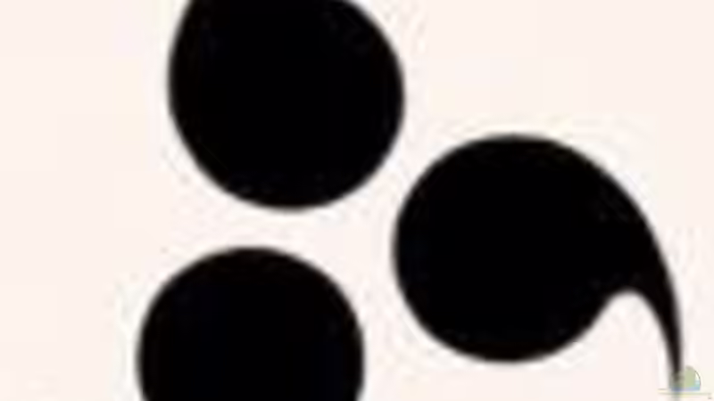 Userbild von Benny Fabian von Benny Fabian (2)