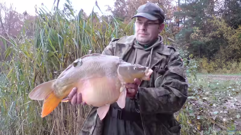 Userbild von BenoN von BenoN (16)