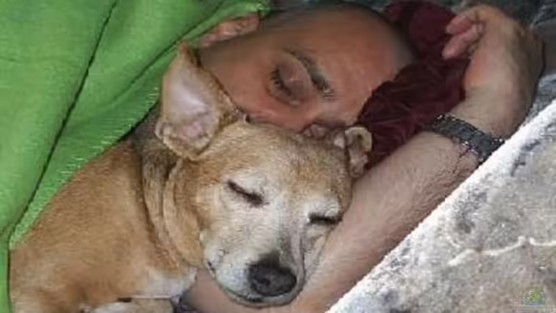 Userbild von Berliner Tom von Berliner Tom (21)