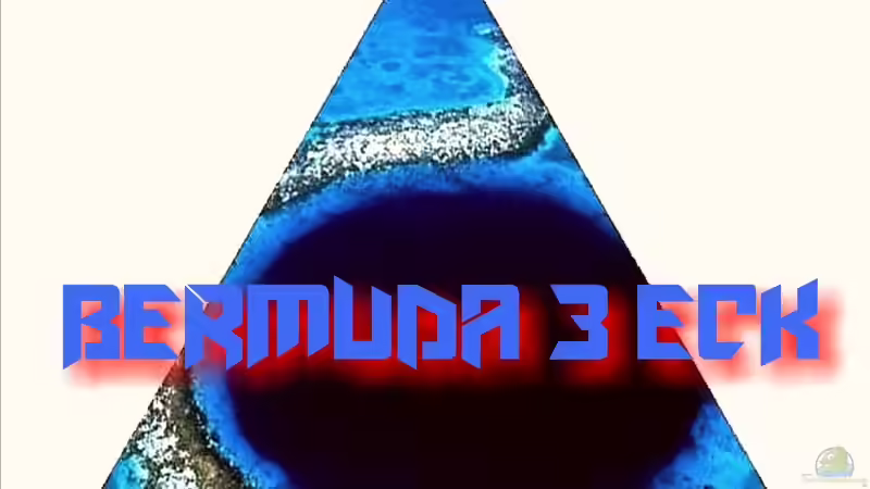 Userbild von Bermuda 3eck von Bermuda 3eck (50)