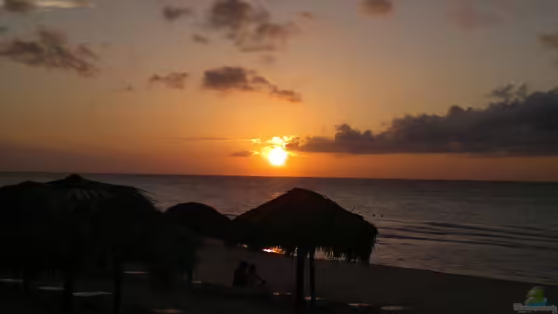 Userbild von Bernd Pinkert von Bernd Pinkert (19)