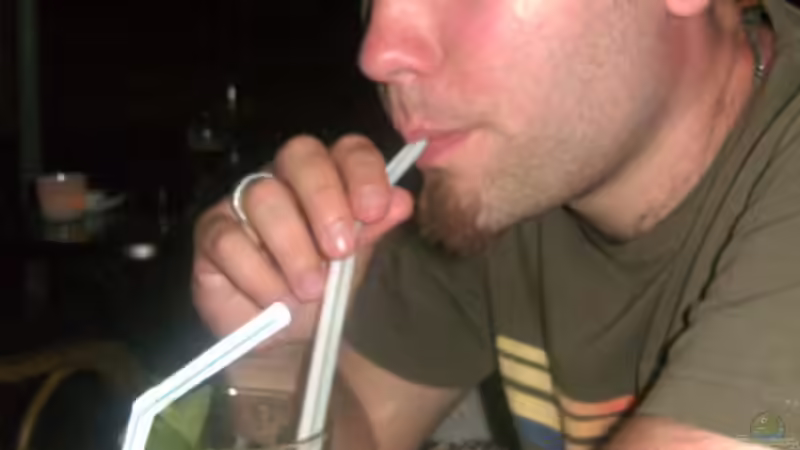 Userbild von Bernhard Messinger von Bernhard Messinger (23)