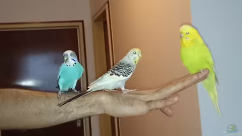 Userbild von Betta Ufuk von Betta Ufuk (4)