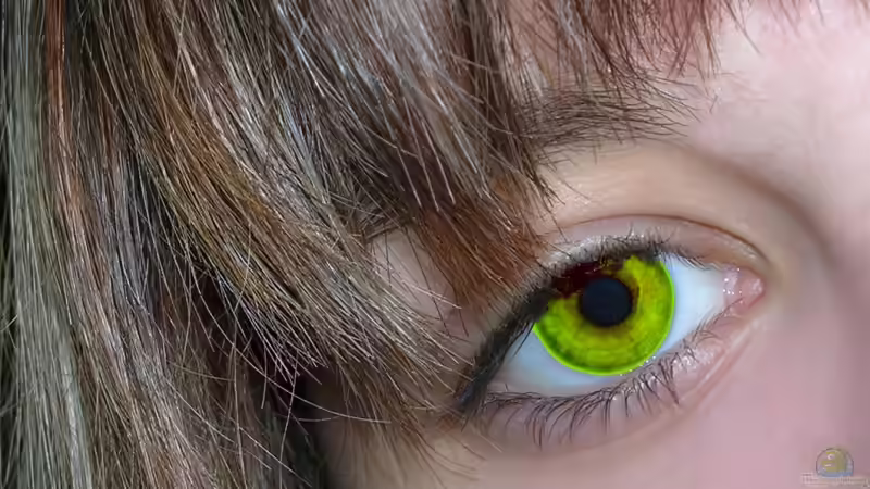 Userbild von Betty von Betty (3)